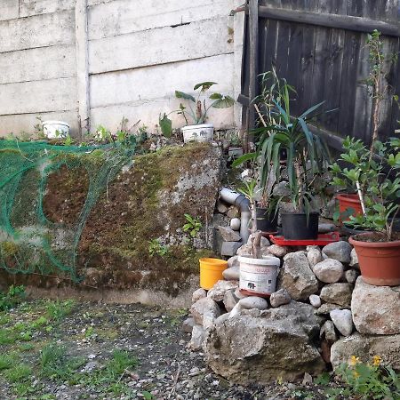 Casa Adrian Camere Centru Vechi Μπρασόβ Εξωτερικό φωτογραφία