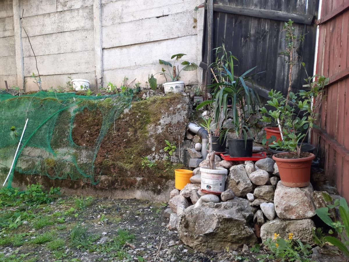 Casa Adrian Camere Centru Vechi Μπρασόβ Εξωτερικό φωτογραφία