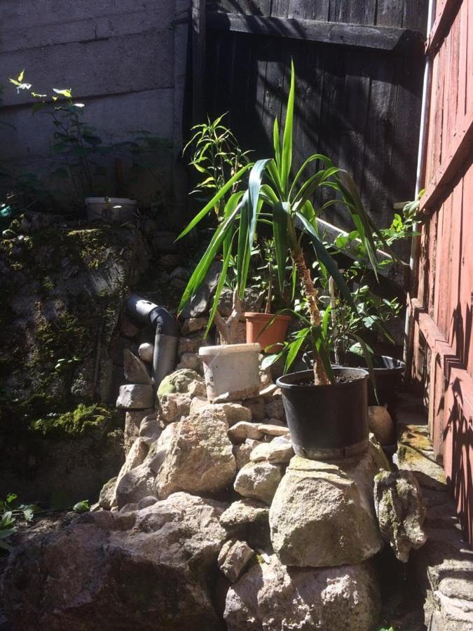 Casa Adrian Camere Centru Vechi Μπρασόβ Εξωτερικό φωτογραφία